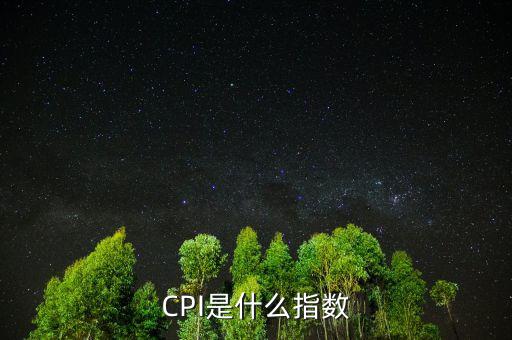CPI是什么指數