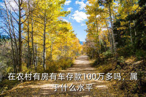 在農(nóng)村有房有車存款100萬多嗎，屬于什么水平