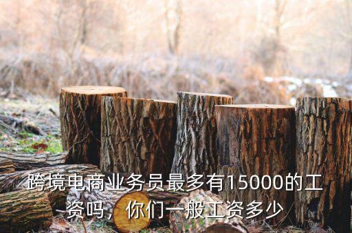 跨境電商業(yè)務(wù)員最多有15000的工資嗎，你們一般工資多少