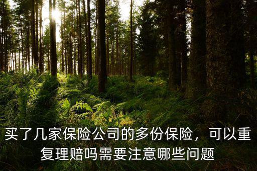 買(mǎi)了幾家保險(xiǎn)公司的多份保險(xiǎn)，可以重復(fù)理賠嗎需要注意哪些問(wèn)題