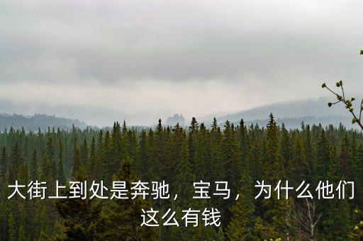 大街上到處是奔馳，寶馬，為什么他們這么有錢
