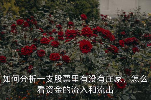 如何分析一支股票里有沒有莊家，怎么看資金的流入和流出