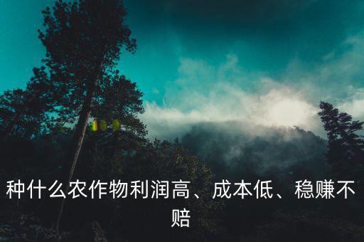 種什么農(nóng)作物利潤高、成本低、穩(wěn)賺不賠