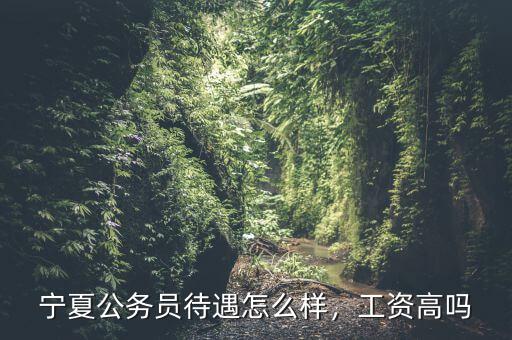 寧夏公務(wù)員待遇怎么樣，工資高嗎