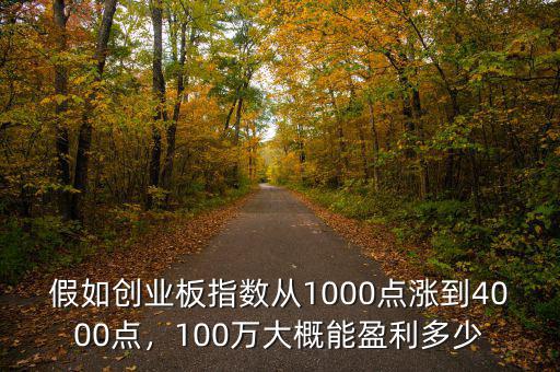 假如創(chuàng)業(yè)板指數(shù)從1000點(diǎn)漲到4000點(diǎn)，100萬(wàn)大概能盈利多少
