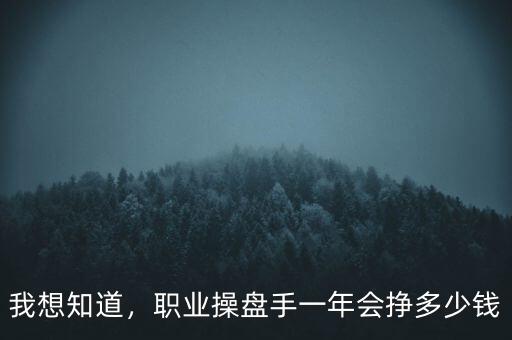 我想知道，職業(yè)操盤手一年會(huì)掙多少錢