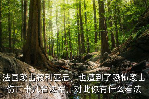 法國(guó)襲擊敘利亞后，也遭到了恐怖襲擊傷亡十幾名法軍，對(duì)此你有什么看法