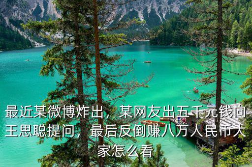 最近某微博炸出，某網(wǎng)友出五千元錢向王思聰提問，最后反倒賺八萬人民幣大家怎么看