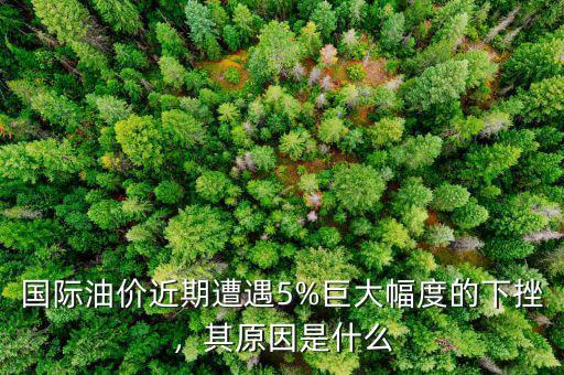 國際油價(jià)近期遭遇5%巨大幅度的下挫，其原因是什么