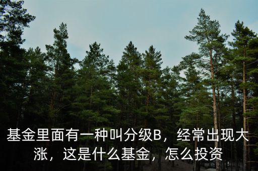 基金里面有一種叫分級B，經(jīng)常出現(xiàn)大漲，這是什么基金，怎么投資
