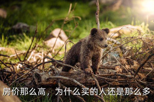 房價那么高，為什么買的人還是那么多