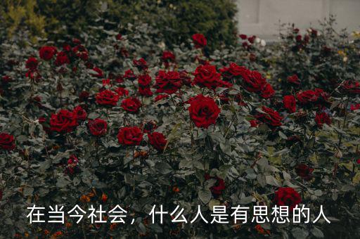 在當(dāng)今社會(huì)，什么人是有思想的人