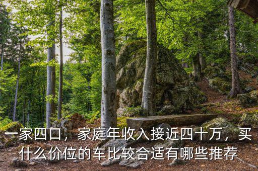 一家四口，家庭年收入接近四十萬，買什么價(jià)位的車比較合適有哪些推薦