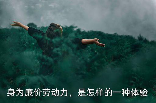 身為廉價勞動力，是怎樣的一種體驗