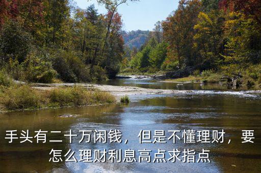 手頭有二十萬(wàn)閑錢(qián)，但是不懂理財(cái)，要怎么理財(cái)利息高點(diǎn)求指點(diǎn)