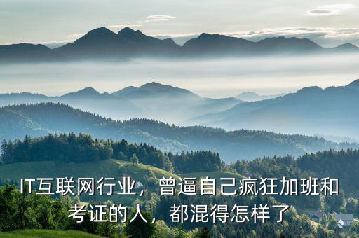 IT互聯(lián)網(wǎng)行業(yè)，曾逼自己瘋狂加班和考證的人，都混得怎樣了