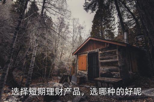 選擇短期理財產品，選哪種的好呢