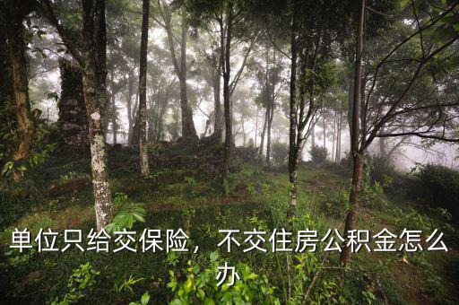 單位只給交保險(xiǎn)，不交住房公積金怎么辦