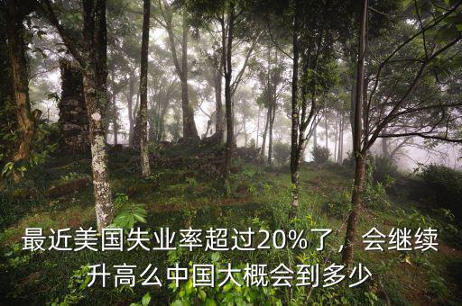 最近美國失業(yè)率超過20%了，會繼續(xù)升高么中國大概會到多少