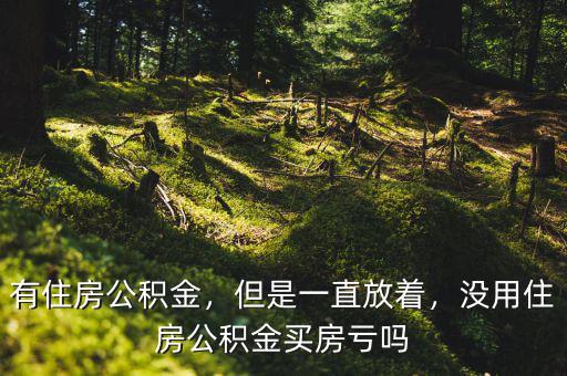 有住房公積金，但是一直放著，沒(méi)用住房公積金買(mǎi)房虧嗎
