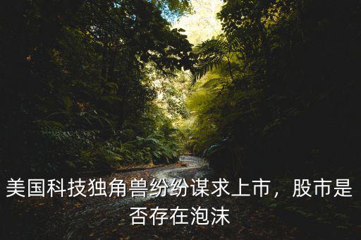 美國科技獨角獸紛紛謀求上市，股市是否存在泡沫