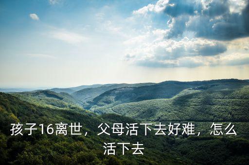 孩子16離世，父母活下去好難，怎么活下去