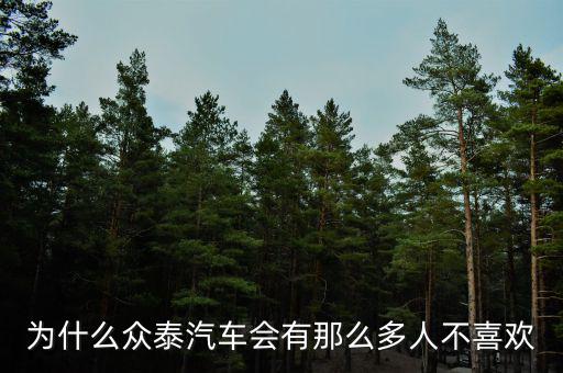 為什么眾泰汽車(chē)會(huì)有那么多人不喜歡