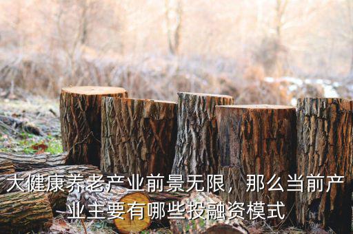 大健康養(yǎng)老產(chǎn)業(yè)前景無(wú)限，那么當(dāng)前產(chǎn)業(yè)主要有哪些投融資模式