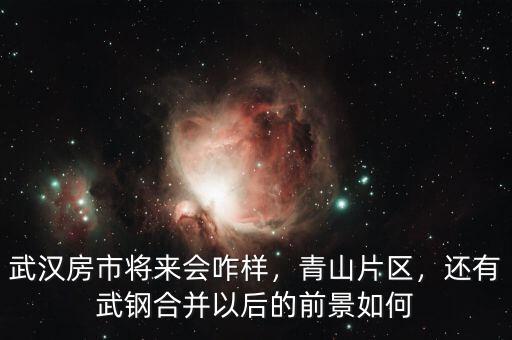 武漢房市將來會咋樣，青山片區(qū)，還有武鋼合并以后的前景如何