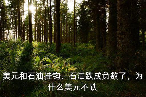 美元和石油掛鉤，石油跌成負(fù)數(shù)了，為什么美元不跌