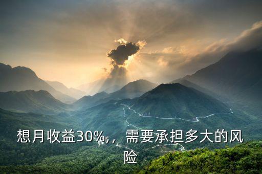想月收益30%,，需要承擔(dān)多大的風(fēng)險(xiǎn)