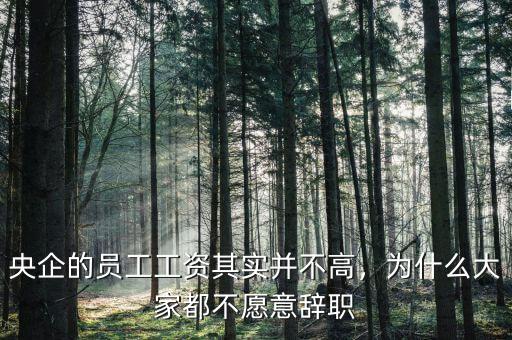 央企的員工工資其實并不高，為什么大家都不愿意辭職