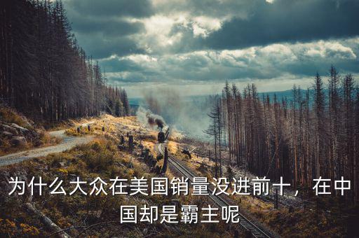 為什么大眾在美國銷量沒進前十，在中國卻是霸主呢