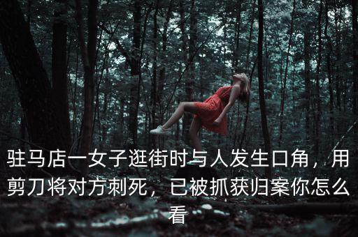 駐馬店一女子逛街時(shí)與人發(fā)生口角，用剪刀將對(duì)方刺死，已被抓獲歸案你怎么看