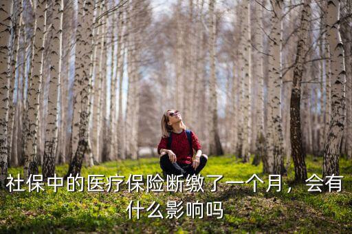 社保中的醫(yī)療保險(xiǎn)斷繳了一個(gè)月，會(huì)有什么影響嗎