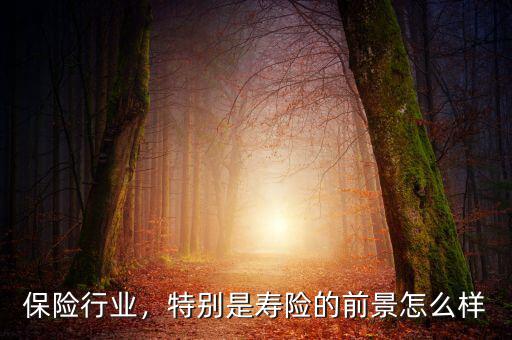 保險(xiǎn)行業(yè)，特別是壽險(xiǎn)的前景怎么樣