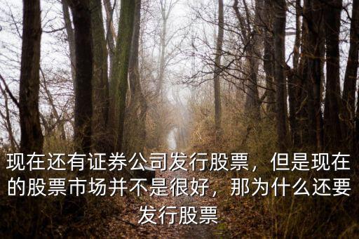 現(xiàn)在還有證券公司發(fā)行股票，但是現(xiàn)在的股票市場并不是很好，那為什么還要發(fā)行股票