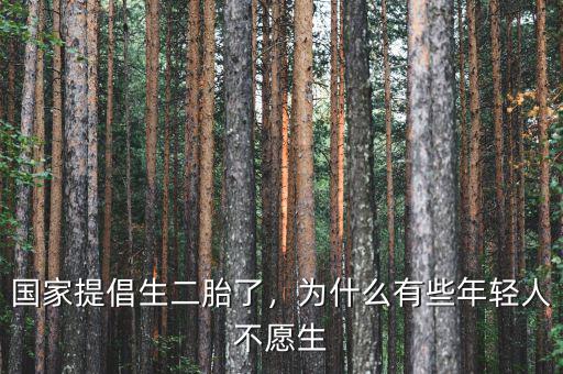 國家提倡生二胎了，為什么有些年輕人不愿生
