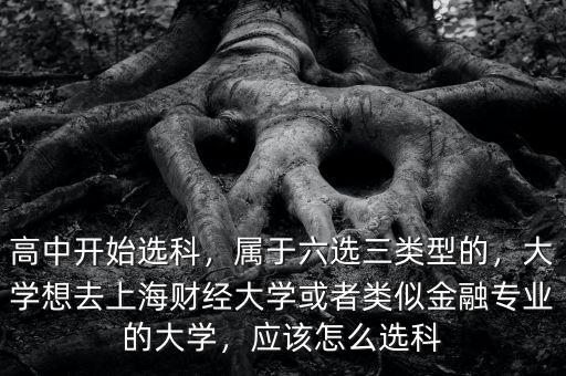 高中開始選科，屬于六選三類型的，大學(xué)想去上海財經(jīng)大學(xué)或者類似金融專業(yè)的大學(xué)，應(yīng)該怎么選科