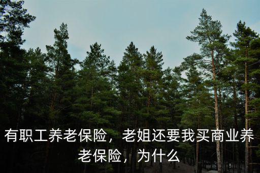有職工養(yǎng)老保險(xiǎn)，老姐還要我買商業(yè)養(yǎng)老保險(xiǎn)，為什么