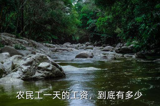 農(nóng)民工一天的工資，到底有多少