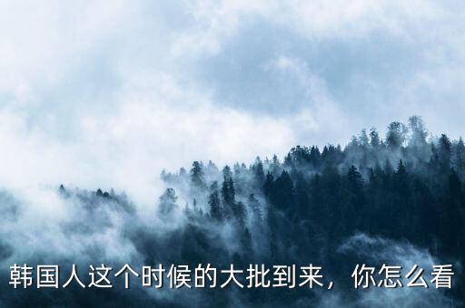 韓國(guó)人這個(gè)時(shí)候的大批到來(lái)，你怎么看