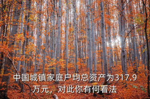 中國(guó)城鎮(zhèn)家庭戶均總資產(chǎn)為317.9萬(wàn)元，對(duì)此你有何看法