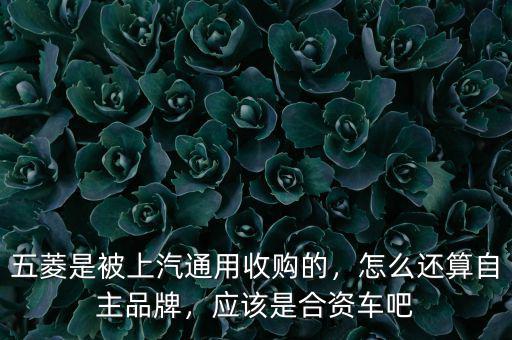 五菱是被上汽通用收購的，怎么還算自主品牌，應(yīng)該是合資車吧