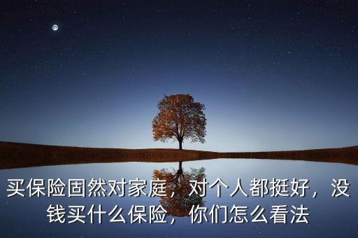 買保險(xiǎn)固然對(duì)家庭，對(duì)個(gè)人都挺好，沒錢買什么保險(xiǎn)，你們?cè)趺纯捶? class=