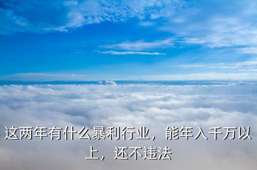 這兩年有什么暴利行業(yè)，能年入千萬以上，還不違法