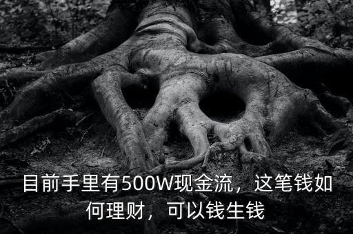 目前手里有500W現(xiàn)金流，這筆錢如何理財，可以錢生錢