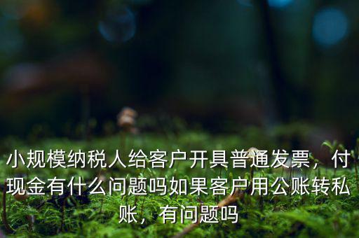 小規(guī)模納稅人給客戶開具普通發(fā)票，付現(xiàn)金有什么問題嗎如果客戶用公賬轉(zhuǎn)私賬，有問題嗎
