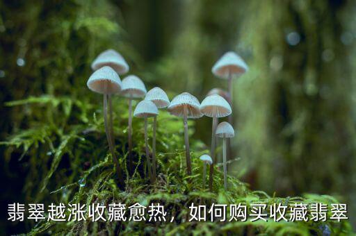 翡翠越漲收藏愈熱，如何購(gòu)買(mǎi)收藏翡翠