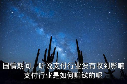 國情期間，聽說支付行業(yè)沒有收到影響支付行業(yè)是如何賺錢的呢